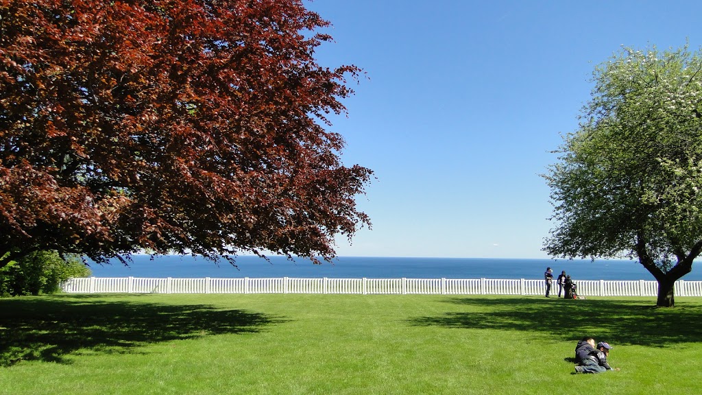 Fools Paradise | 1 Meadowcliffe Dr, Scarborough, ON M1M 2X9, Canada
