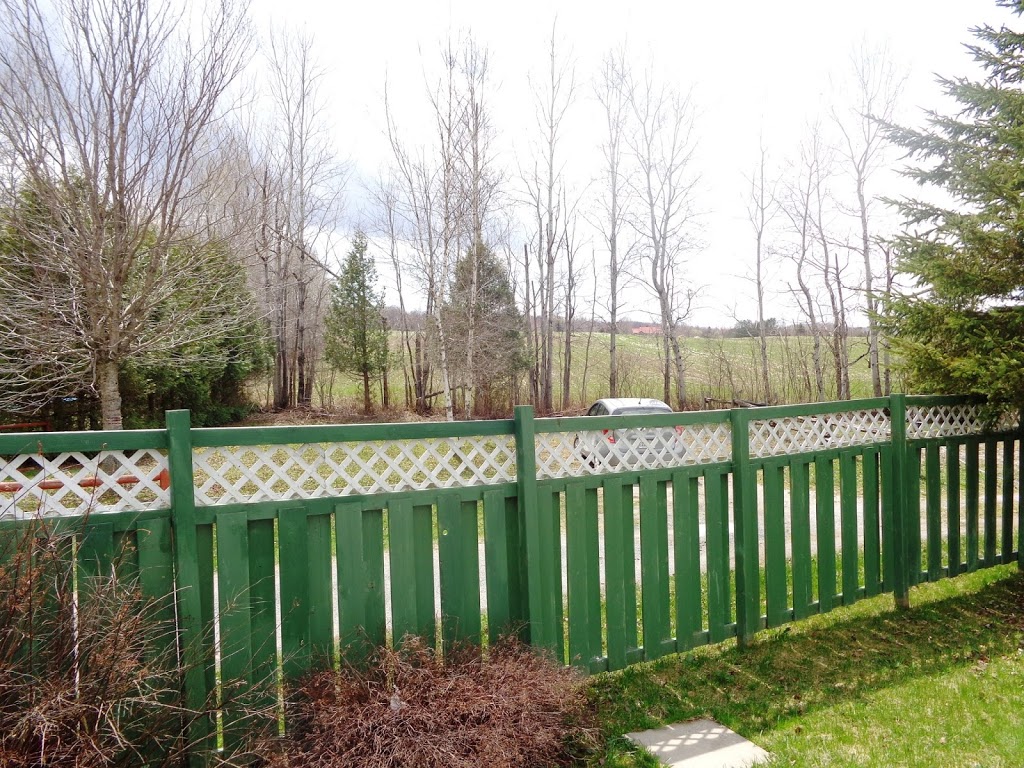 Mésange de caroline | 157 29e Chemin, Bishopton, QC J0B 1G0, Canada | Phone: (819) 884-1232