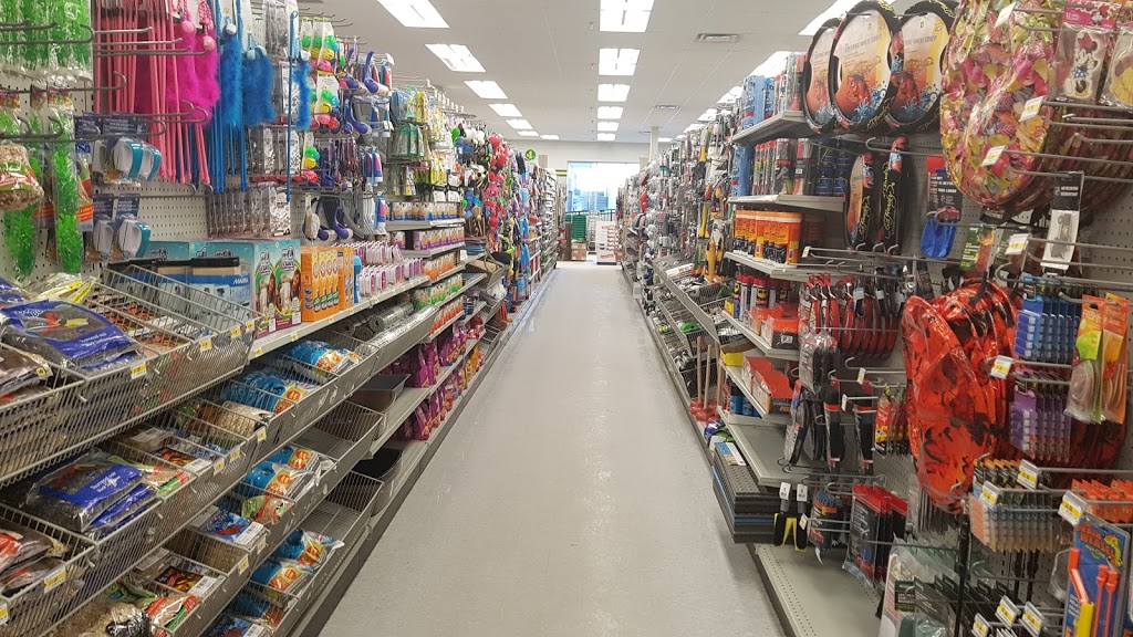 Dollarama | 4 Banff Rd Uxbridge Shopping, Uxbridge, ON L9P 1S9, Canada | Phone: (905) 862-2598
