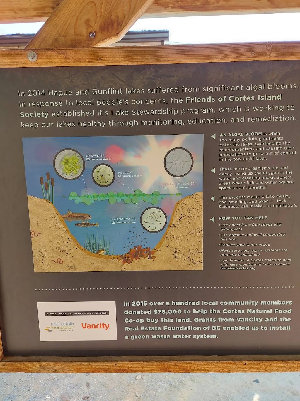Cortes Natural Food Co-op and Cafe | 800 Sutil Point Rd, Mansons Landing, BC V0P 1K0, Canada | Phone: (250) 935-8577
