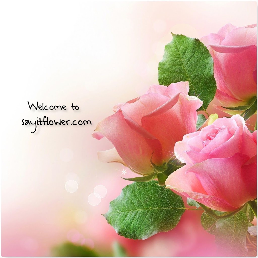 Say It FLOWER | 187 Queen Victoria Dr, Hamilton, ON L8W 1W6, Canada | Phone: (647) 786-2222