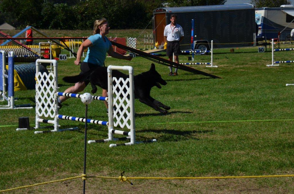 New Discoveries Dog Training | 2256 Glenmore Rd, Campbell River, BC V9H 1C8, Canada | Phone: (250) 203-7968