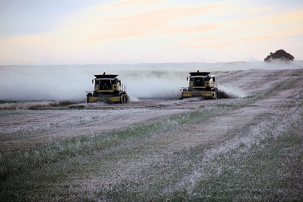 Delage Farms Ltd. | Indian Head, SK S0G 2K0, Canada | Phone: (306) 695-3959