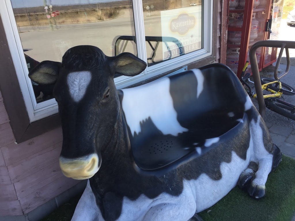 Marks Ice Cream Parlour | 430 Pine St, Waubaushene, ON L0K 2C0, Canada | Phone: (705) 510-0090