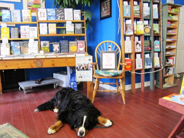 Forsters Book Garden | 266 Queen St S, Bolton, ON L7E 4T7, Canada | Phone: (905) 951-1501