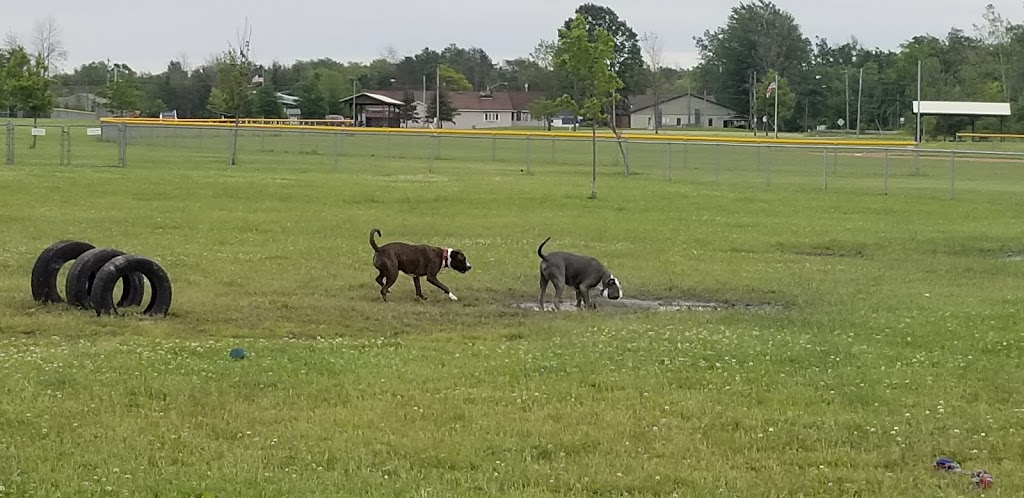 Hamburg Dog Park | Hamburg, NY 14075, USA