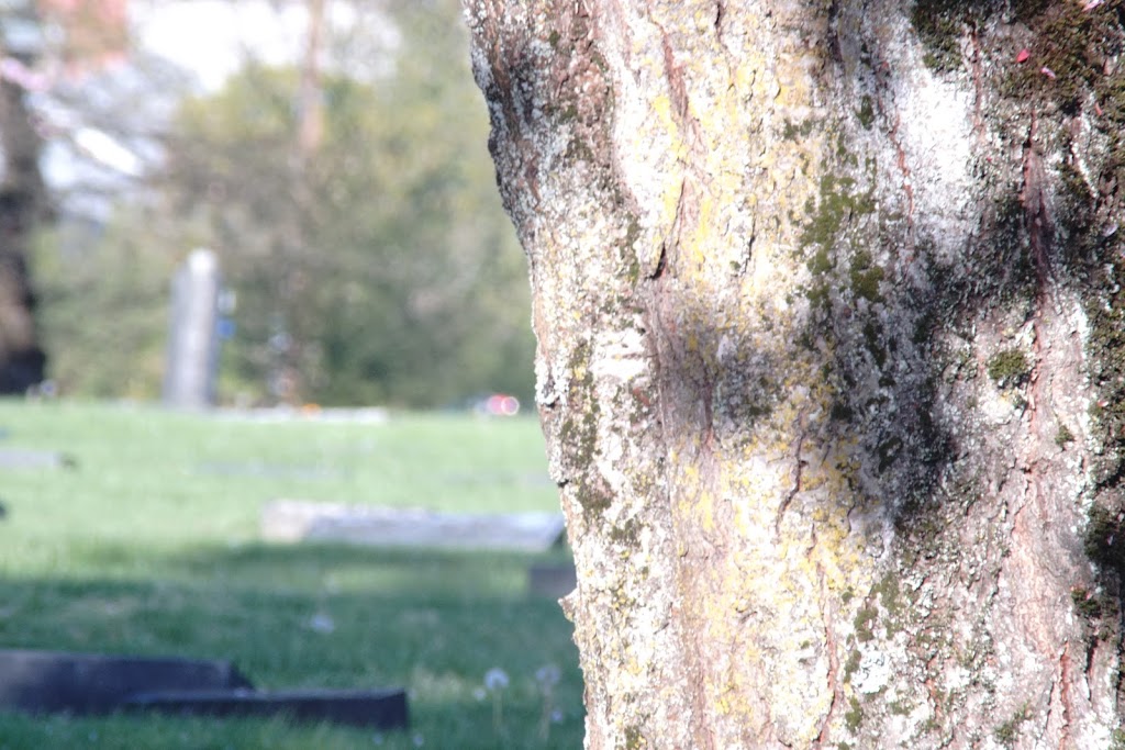 Fraser Cemetery | 100 Richmond St, New Westminster, BC V3L 4B3, Canada | Phone: (604) 522-1323