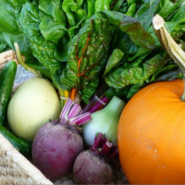 A Healthy Journey | 219 29 Ave NE, Calgary, AB T2E 2C2, Canada | Phone: (403) 542-6880