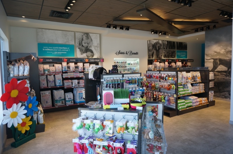 Clinique Vétérinaire Saint-Canut | 14000 Rue Saint-Simon, Mirabel, QC J7N 1P4, Canada | Phone: (450) 436-2043