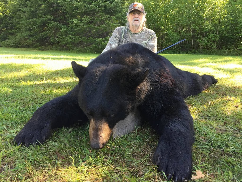 Salmon River Bend Outfitters | 2680 Route 116, Salmon River Road, NB E4A 1R1, Canada | Phone: (506) 238-4495