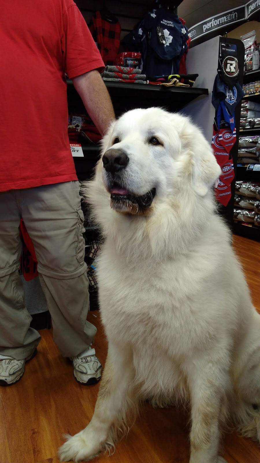 Paulmacs Pets | 144 Queen St, Lakefield, ON K0L 2H0, Canada | Phone: (705) 652-8377