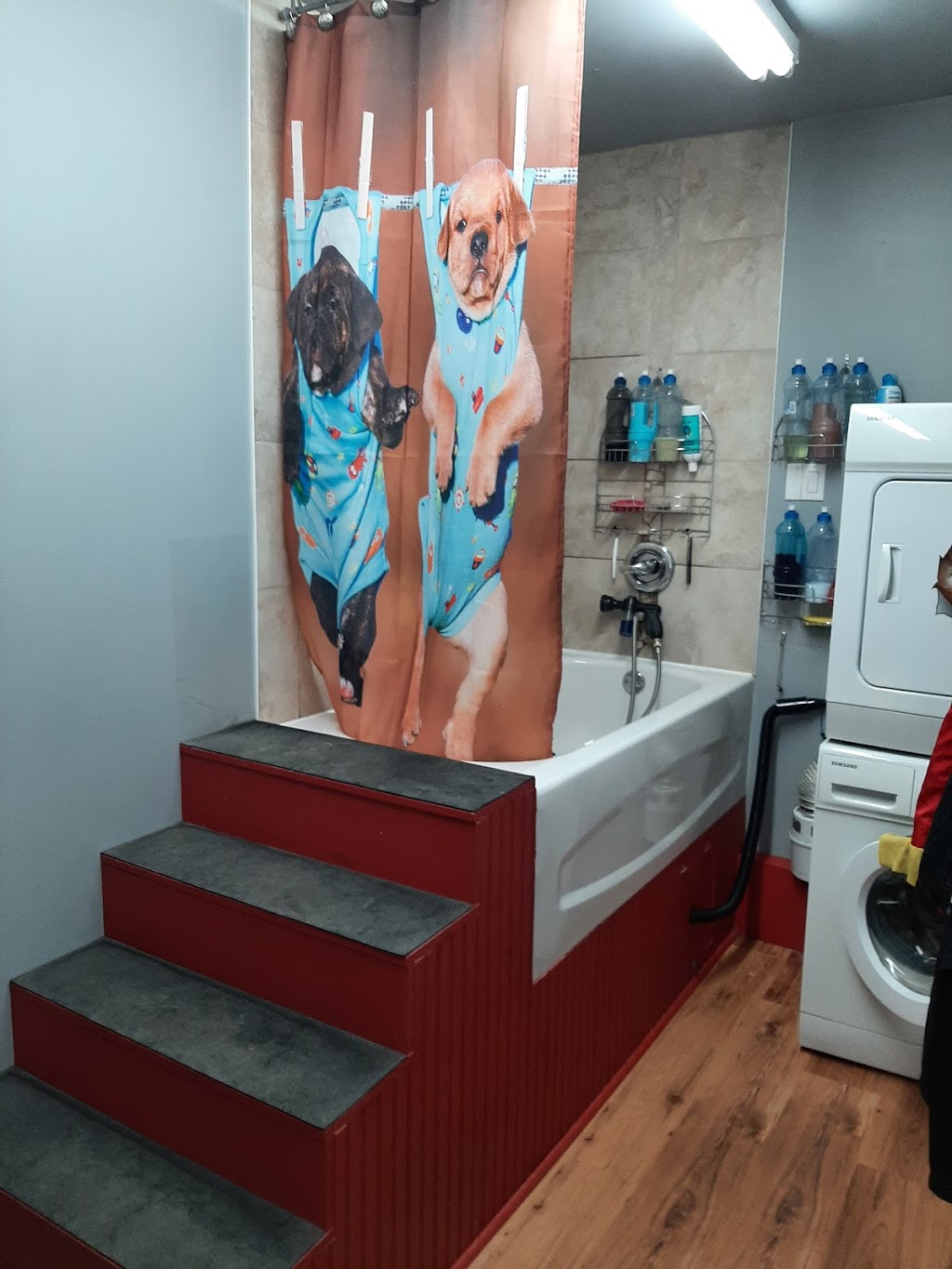 Salon toilettage Toutou Matou | 988 Rue Notre-Dame, Lavaltrie, QC J5T 1L9, Canada | Phone: (438) 884-4342