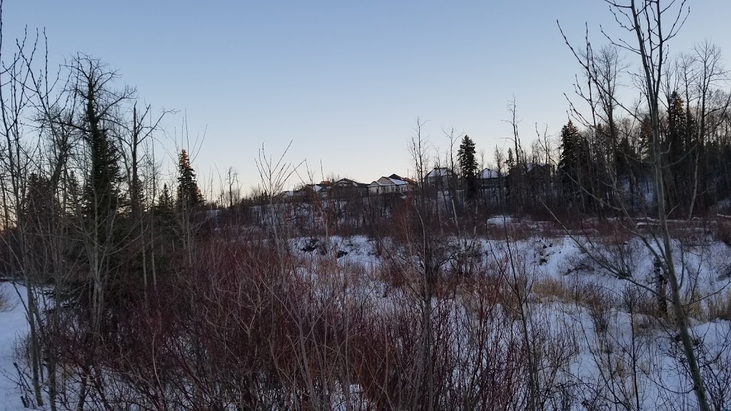 Blackburn Creek Park | 507 107 St SW, Edmonton, AB T6W 1A2, Canada