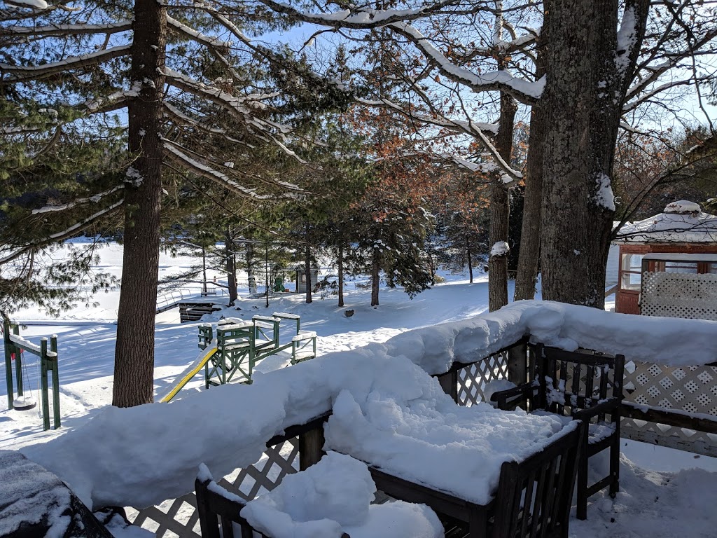 Little Hawk Resort & Marina | 2049 Little Hawk Lake Rd, Algonquin Highlands, ON K0M 1J2, Canada | Phone: (705) 489-2158