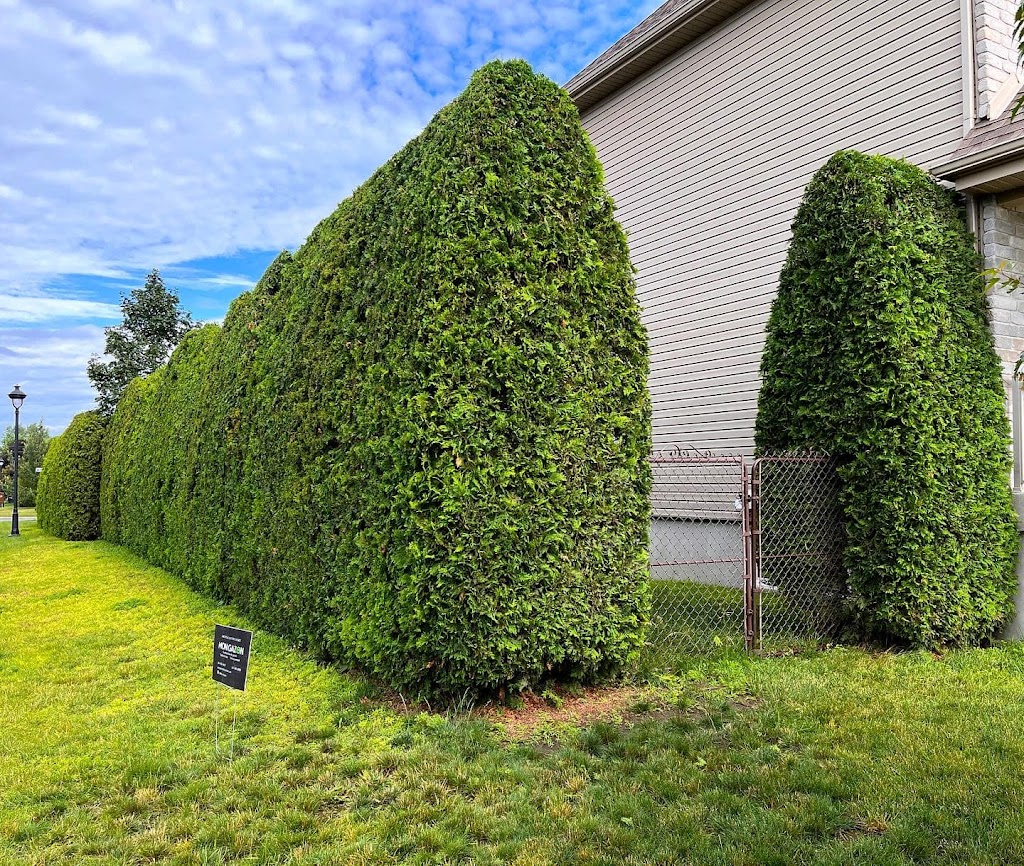 MonGazon | 1862 Rue Henri-Blaquière, Chambly, QC J3L 0J8, Canada | Phone: (514) 886-9697