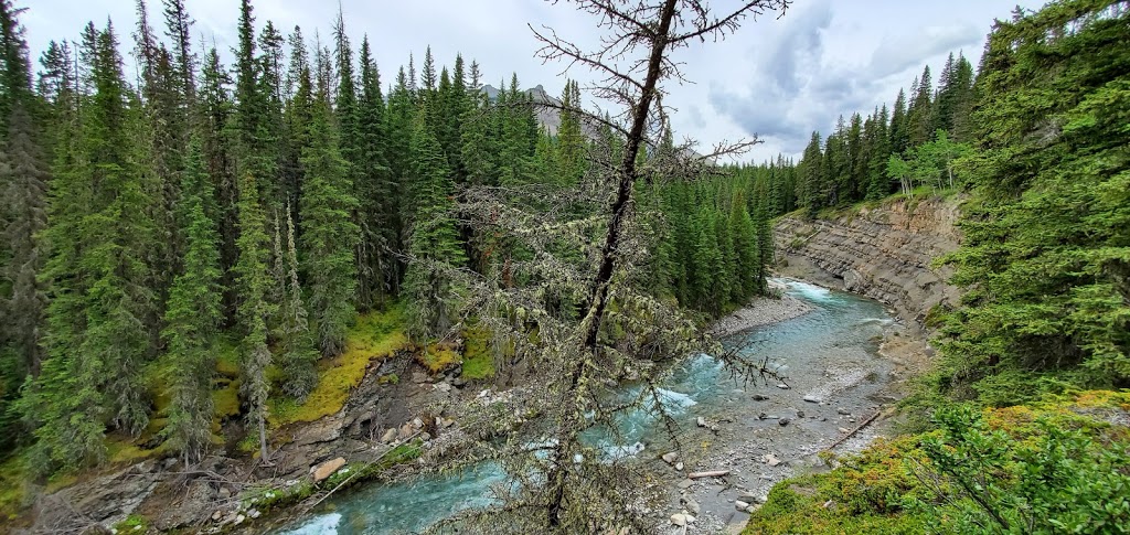 Sheep River Provincial Park - Kananaskis Country | Millarville, AB T0L 1K0, Canada | Phone: (403) 678-0760