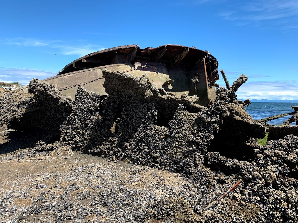 Royston Shipwrecks | Hilton Rd, Royston, BC V9N 9T4, Canada | Phone: (250) 338-3937