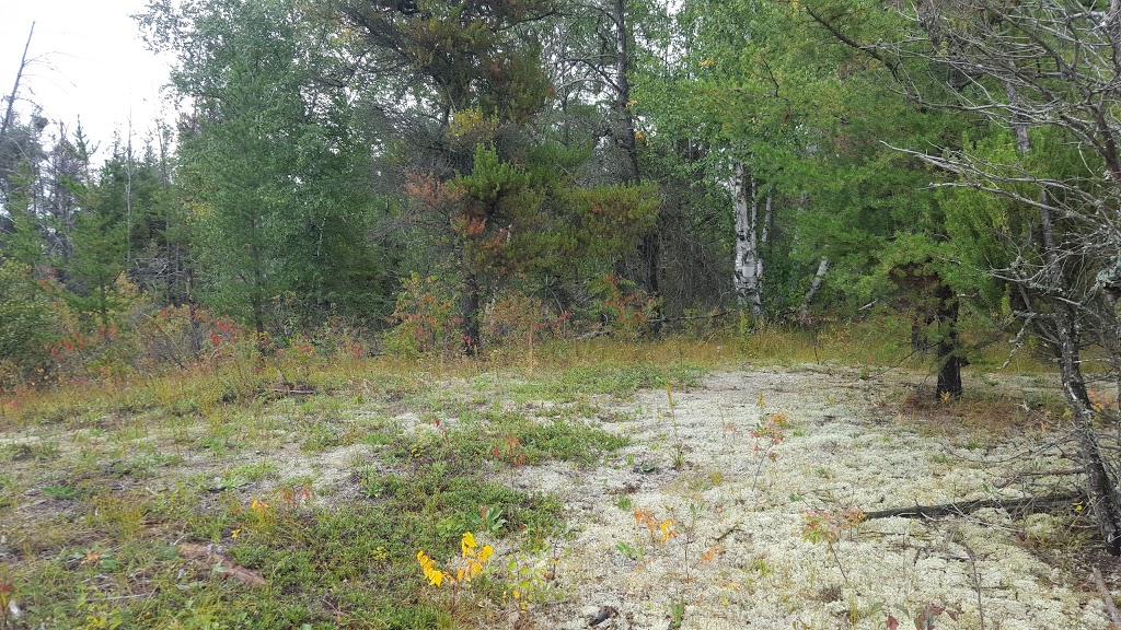 Redwater Provincial Recreation Area | Redwater, AB T0A 2W0, Canada | Phone: (780) 960-8170