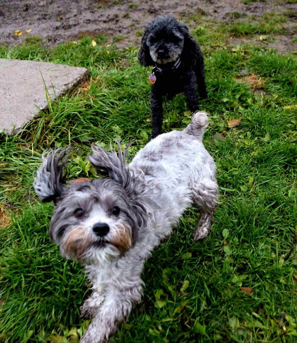 Loyalist Barkway Boarding Kennels | 9675 ON-33, Bath, ON K0H 1G0, Canada | Phone: (613) 777-5024