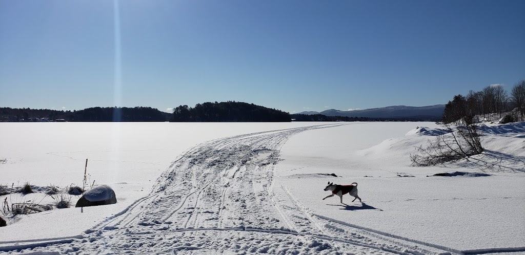 Island Pond Welcome Center | 11 Birch St, Island Pond, VT 05846, USA | Phone: (802) 723-9889