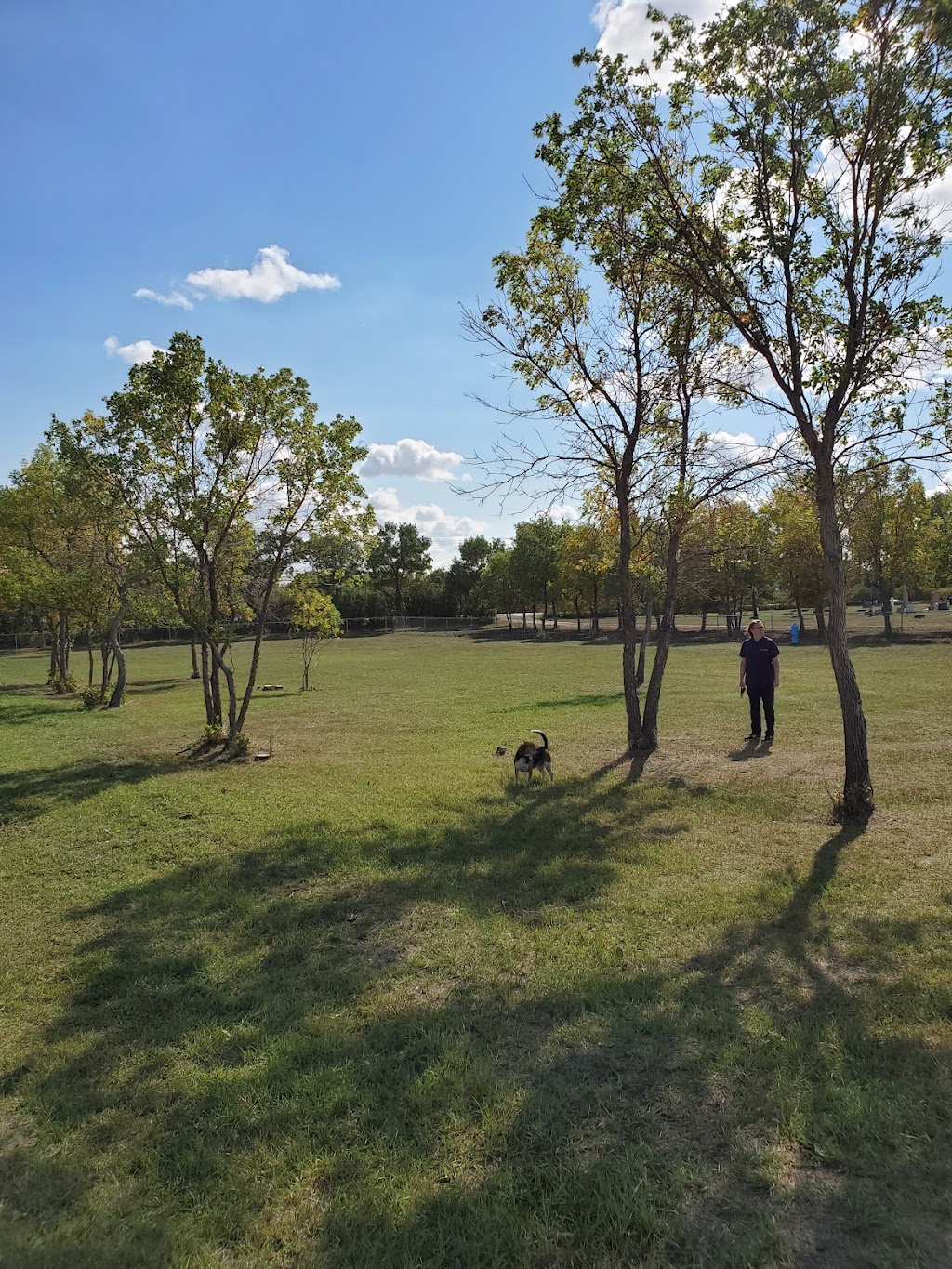 The Bark Park | Rosetown, SK S0L 2V0, Canada | Phone: (306) 882-2214