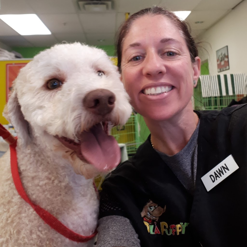 Ola Puppy Dog Grooming | 12516 Harris Rd, Pitt Meadows, BC V3Y 2J4, Canada | Phone: (604) 465-0909