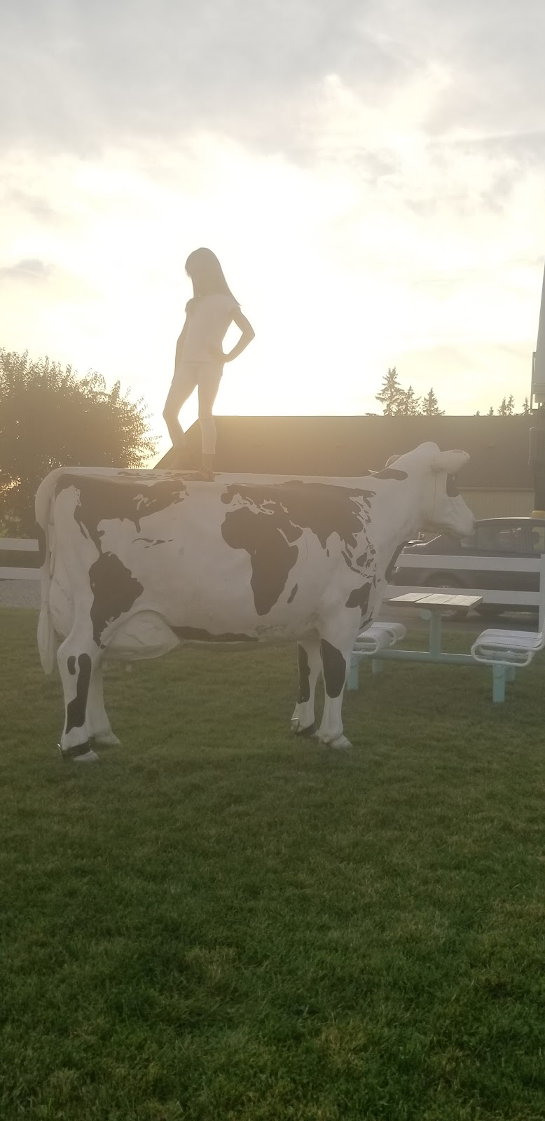 Walker Dairy Bar | 564 Talbot St E, Aylmer, ON N5H 2W1, Canada | Phone: (519) 765-1230
