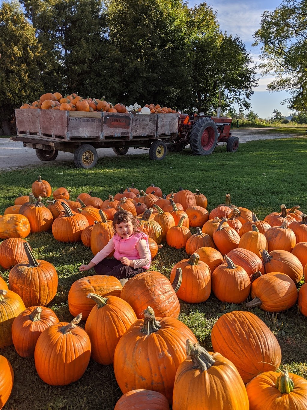 Andrews’ Scenic Acres & Scotch Block Winery | 9365 10 Side Rd, Milton, ON L9T 2X9, Canada | Phone: (905) 878-5807