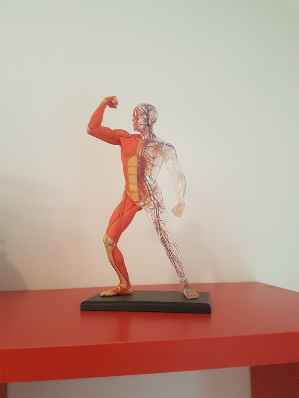 Headwaters Physiotherapy @ AI | 207321 ON-9, Mono, ON L9W 6J2, Canada | Phone: (519) 307-8884