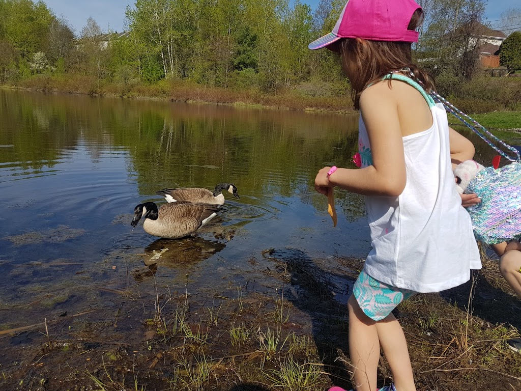 Lake Claude Park | 1061 Rue de la Canardière, Saint-Jérôme, QC J5L 0B3, Canada | Phone: (450) 431-1239