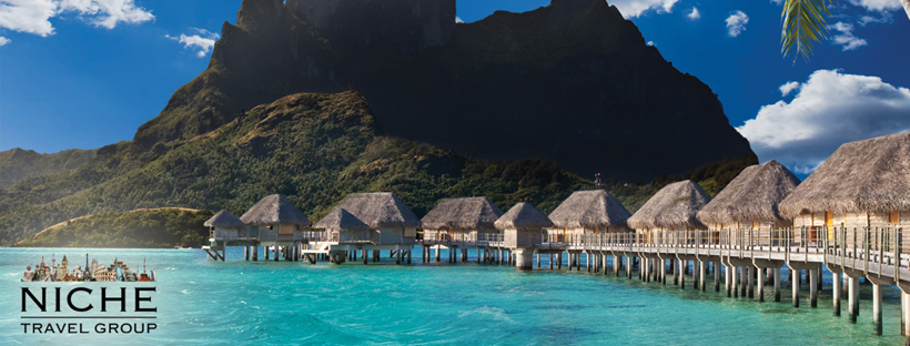 Niche Travel Group | 73 Prince Albert Rd, Dartmouth, NS B2Y 1M1, Canada | Phone: (902) 407-4567