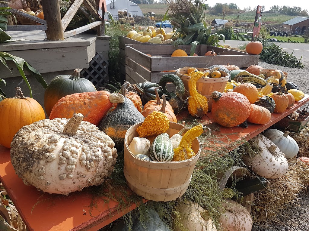 Jardins du Centre (Les) | 91 Rang des Éboulements Centre, Les Éboulements, QC G0A 2M0, Canada | Phone: (418) 635-2387