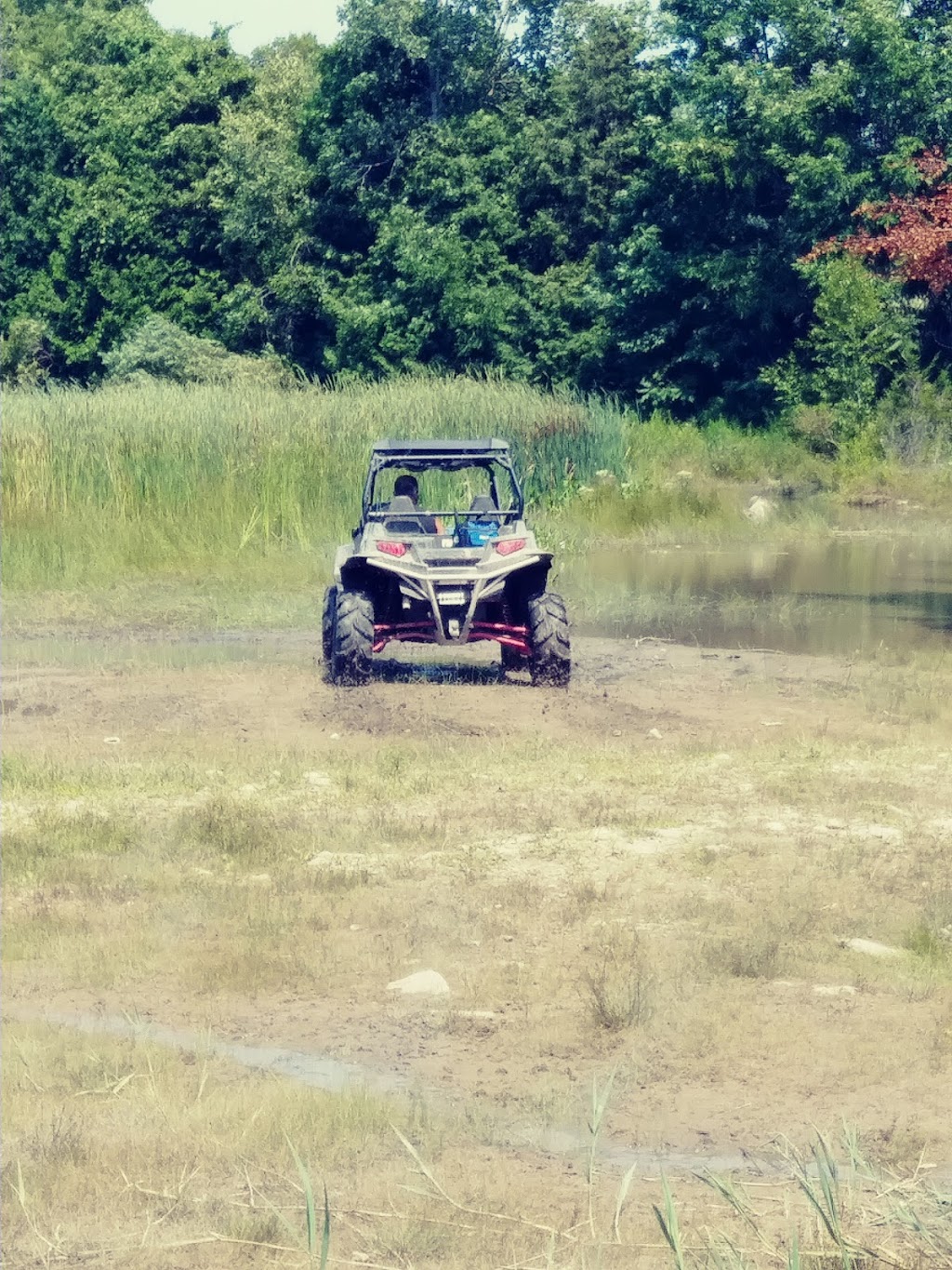Harry Smith Conservation Area | Purdy St, Prince Edward, ON K0K 1A0, Canada | Phone: (613) 968-3434
