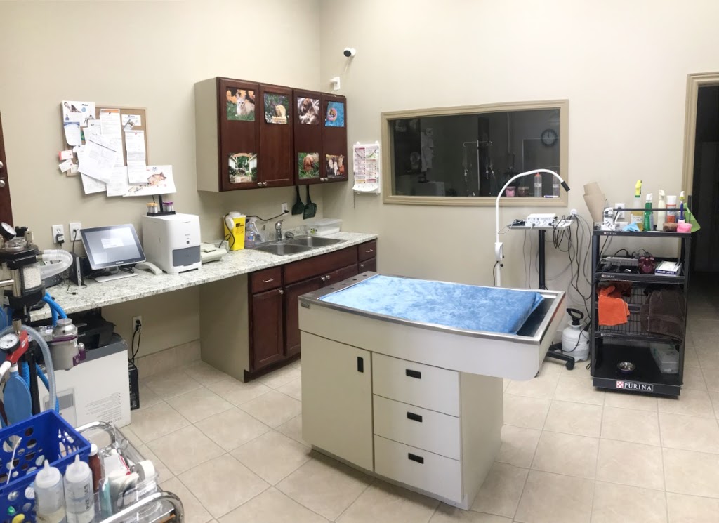 Eatonville Animal Hospital | 4932 Dundas St W, Etobicoke, ON M9A 1B7, Canada | Phone: (416) 231-3167