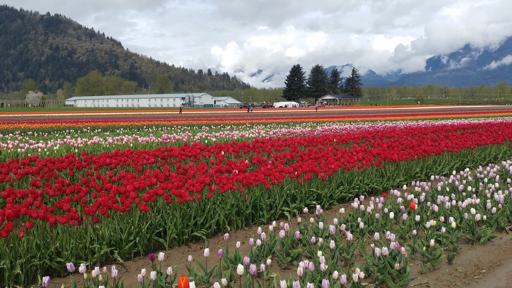 Petro-Pass Truck Stop | 41420 Yale W, Chilliwack, BC V2R 4J3, Canada | Phone: (604) 823-6411