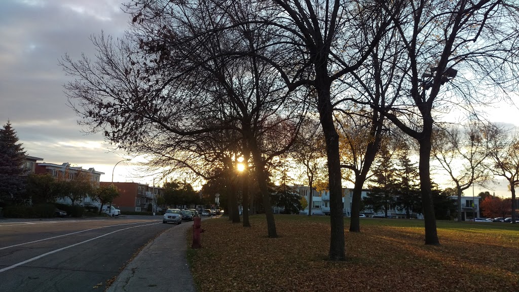 Parc Thomas-Chapais | Mercier-Hochelaga-Maisonneuve, Montreal, QC H1K, Canada | Phone: (514) 872-0311