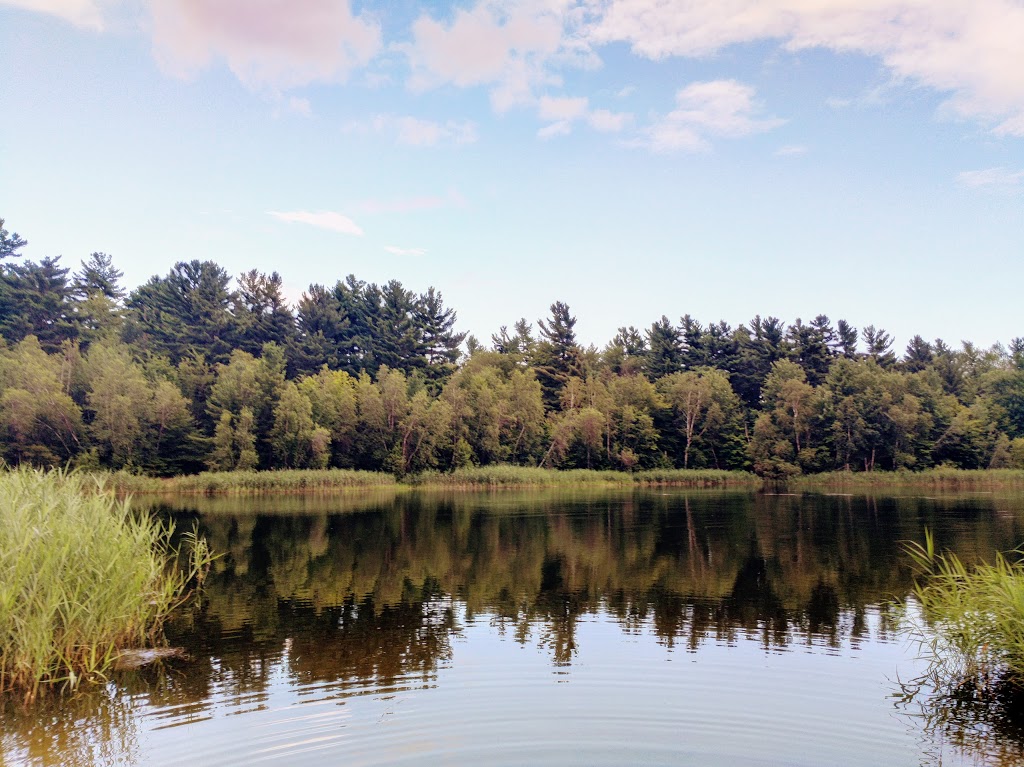 Parc Ivor-McLeod (Parc du lac des Dunes) | Rue Yearling, Saint-Lazare, QC J7T, Canada | Phone: (450) 424-8000
