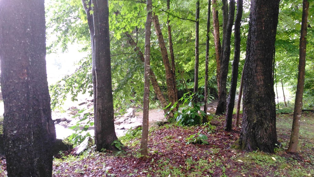 Millbrook Campground | 1152 VT-100, Westfield, VT 05874, USA | Phone: (802) 744-8085