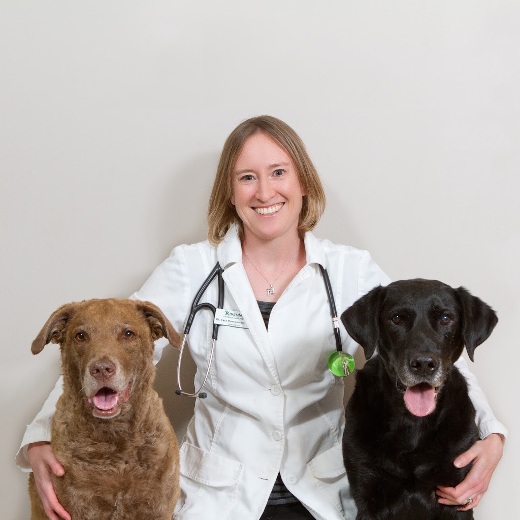 Kingsdale Animal Hospital | 2848 King St E, Kitchener, ON N2A 1A5, Canada | Phone: (519) 896-0532