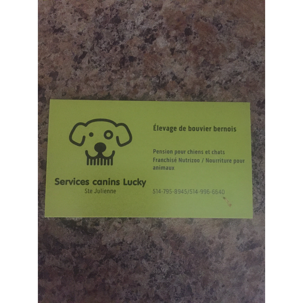 Service Canins Lucky | 3830 Chem. Du Bon Air, Sainte-Julienne, QC J0K 2T0, Canada | Phone: (514) 795-8945