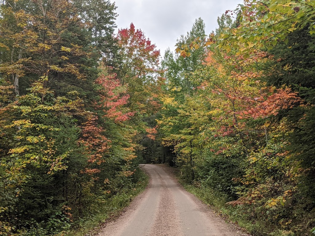 Bonnechere Provincial Park | 4024 Round Lake Rd, Killaloe, ON K0J 2A0, Canada | Phone: (613) 757-2103