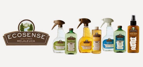 Just Like New Cleaning Services | 576 Atlantic Ave, Winnipeg, MB R2W 0S3, Canada | Phone: (204) 688-9942