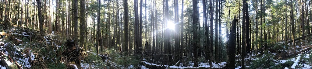 Arbre & Paysage | 1230 QC-133, Sabrevois, QC J0J 2G0, Canada | Phone: (514) 963-9073