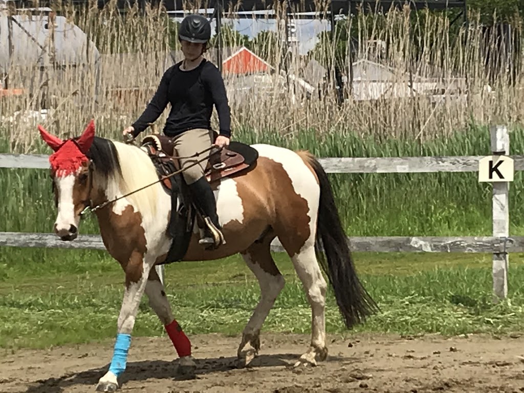 Écurie Landreville-Bernard | 520 Rang S, Saint-Thomas, QC J0K 3L0, Canada | Phone: (450) 757-2727