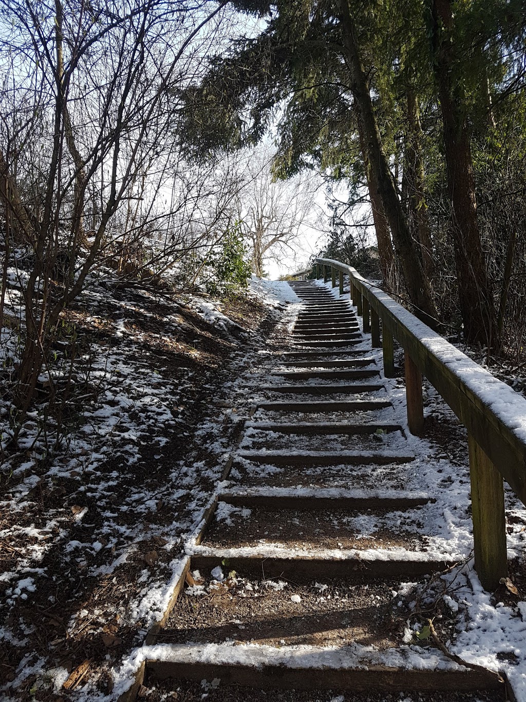 Royal Heights Park | 9797 115a St, Surrey, BC V3V 3Z1, Canada