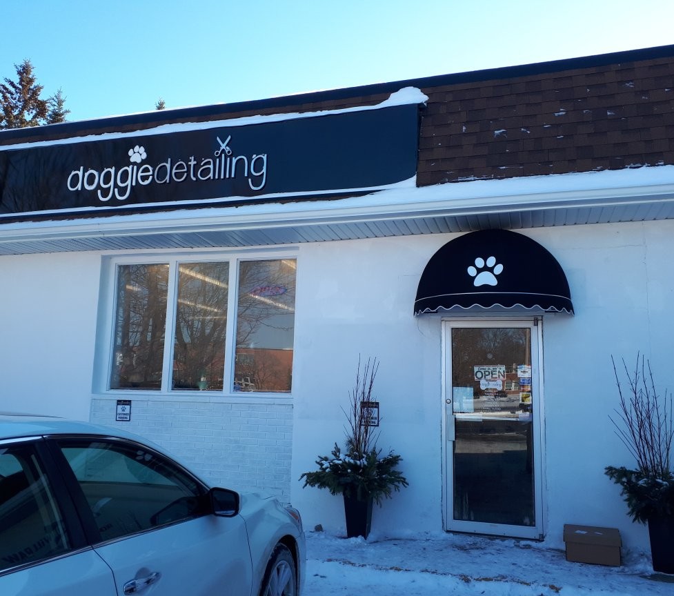 Doggie Detailing | 391 Dundas St W #1, Trenton, ON K8V 5S4, Canada | Phone: (613) 394-5757