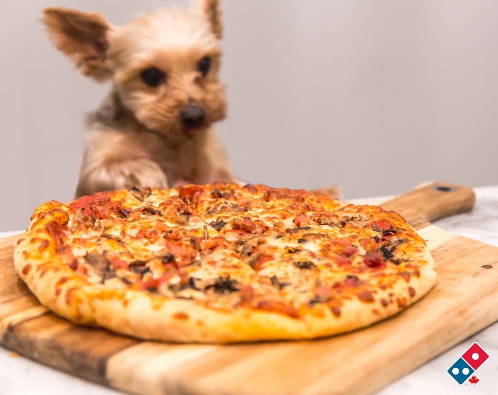 Dominos Pizza | 1267 Garrison Rd, Fort Erie, ON L2A 1P2, Canada | Phone: (905) 871-8787
