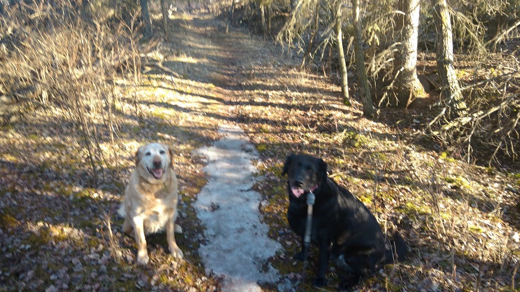North Cooking Lake Natural Area | Strathcona County, AB T8G, Canada | Phone: (780) 427-3582