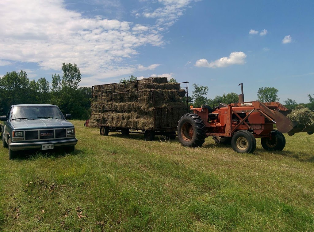 Cedar Grove Organic Farm | 625 Shamrock Rd, Omemee, ON K0L 2W0, Canada | Phone: (705) 799-1728