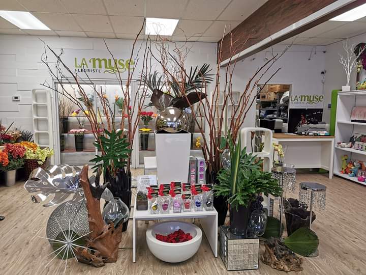La Muse | 382a Boulevard Adolphe-Chapleau, Bois-des-Filion, QC J6Z 1H3, Canada | Phone: (450) 664-7333